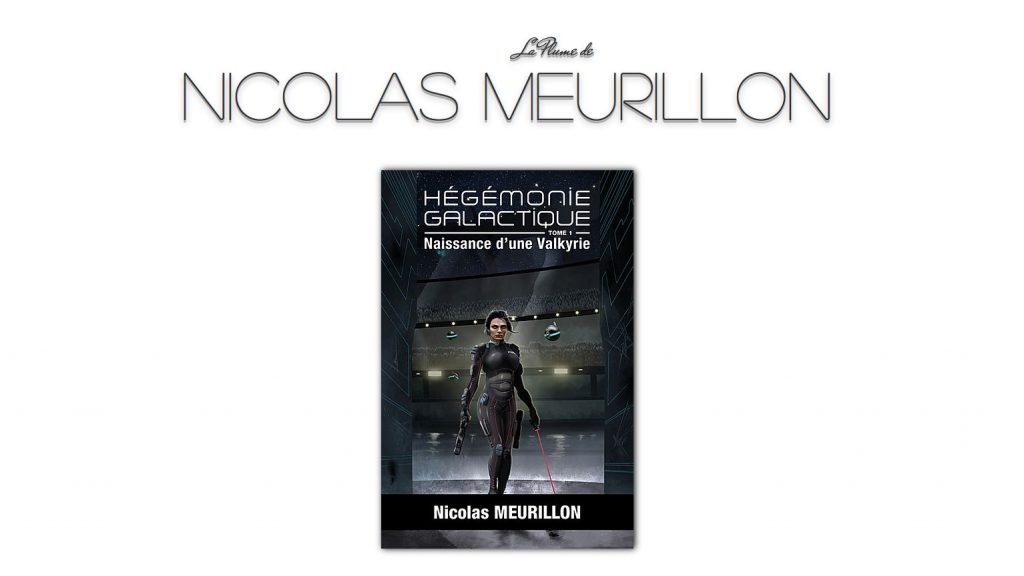 Interview de Nicolas MEURILLON sur La Plume De Vos Auteurs du 17 avril 2020